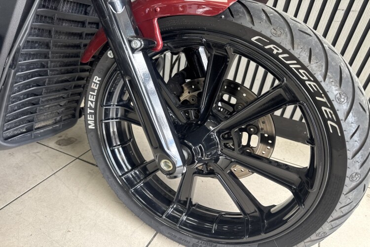 INDIAN SCOUT ROGUE
