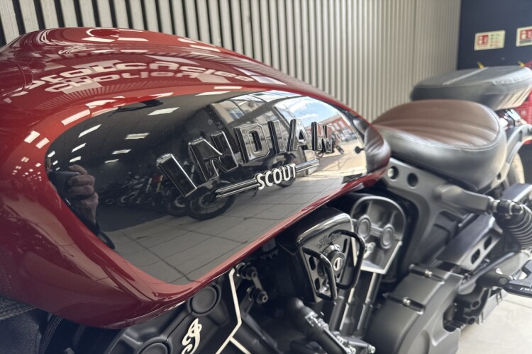 INDIAN SCOUT ROGUE