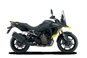 SUZUKI V-STROM 1000