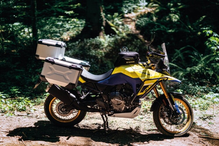 SUZUKI V-STROM 1000