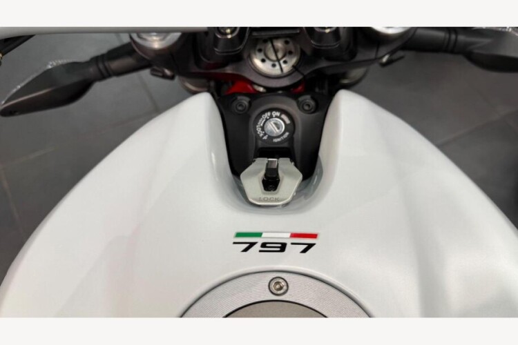 2019 DUCATI MONSTER 797, White - photo 8