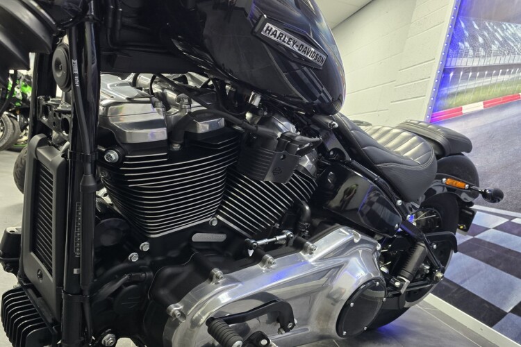 HARLEY-DAVIDSON SOFTAIL