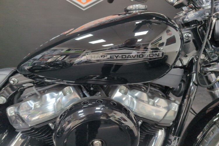 HARLEY-DAVIDSON SOFTAIL