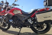 SINNIS TERRAIN 125