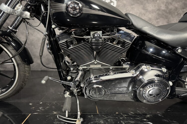 HARLEY-DAVIDSON SOFTAIL