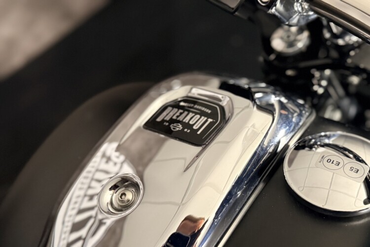 HARLEY-DAVIDSON SOFTAIL