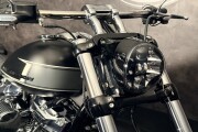 HARLEY-DAVIDSON SOFTAIL