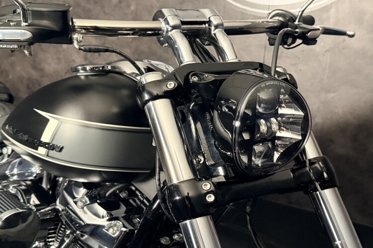HARLEY-DAVIDSON SOFTAIL