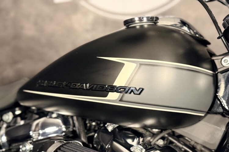 HARLEY-DAVIDSON SOFTAIL