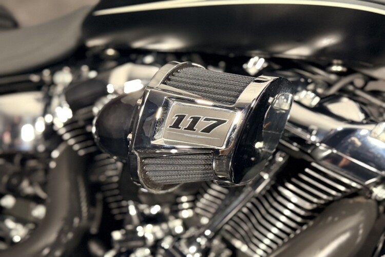 HARLEY-DAVIDSON SOFTAIL