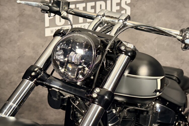 HARLEY-DAVIDSON SOFTAIL