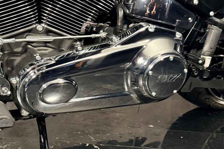 HARLEY-DAVIDSON SOFTAIL
