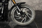 HARLEY-DAVIDSON SOFTAIL