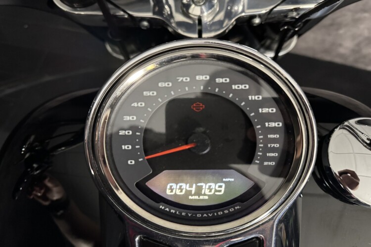 HARLEY-DAVIDSON SOFTAIL