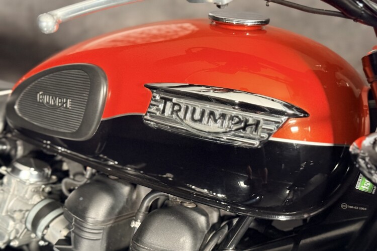 TRIUMPH BONNEVILLE T100