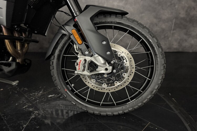 TRIUMPH TIGER 900