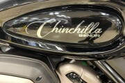 BENDA MOTO CHINCHILLA 500 2025
