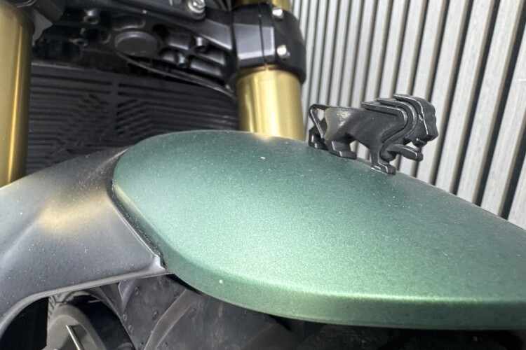 2024 BENELLI LEONCINO 800 TRAIL, Green - photo 15