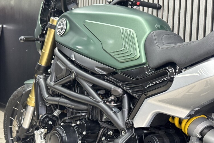 2024 BENELLI LEONCINO 800 TRAIL, Green - photo 18