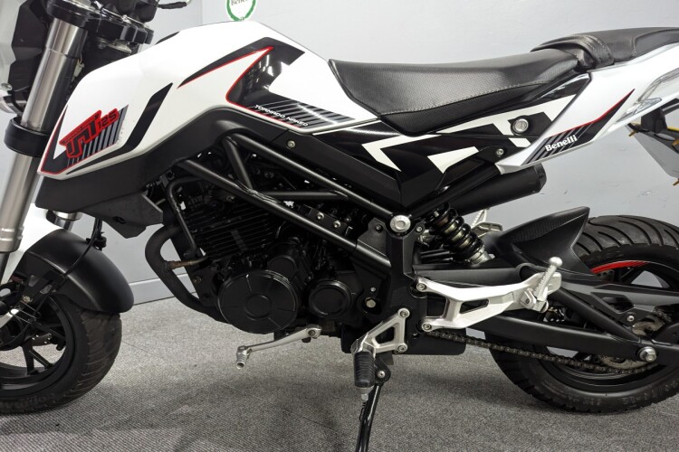 2024 BENELLI TNT, White - photo 17