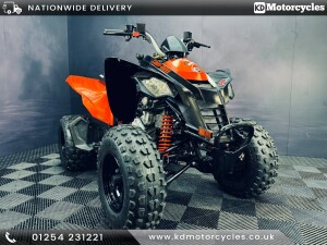 CAN-AM DS