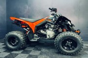 CAN-AM DS