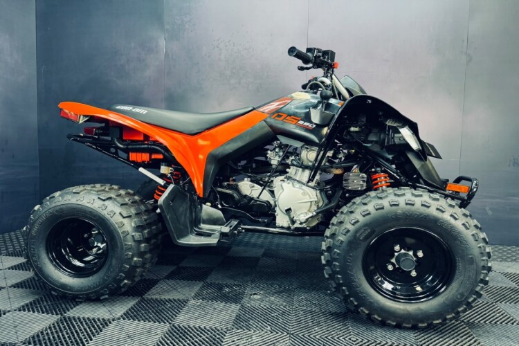 CAN-AM DS