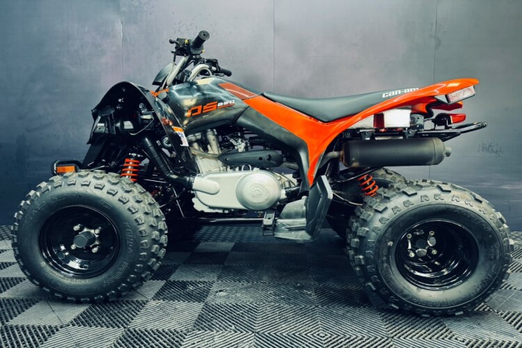 CAN-AM DS