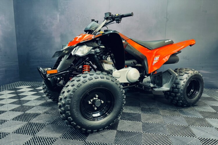CAN-AM DS