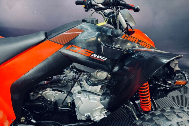 CAN-AM DS