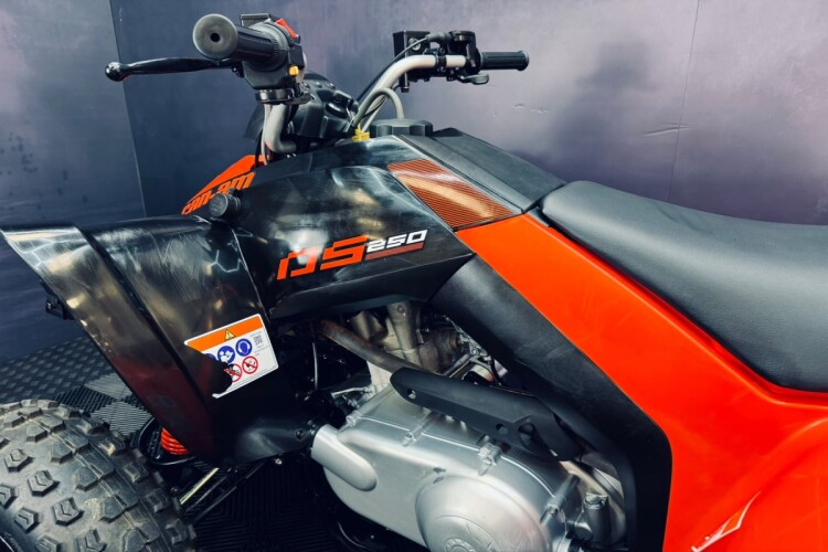 CAN-AM DS