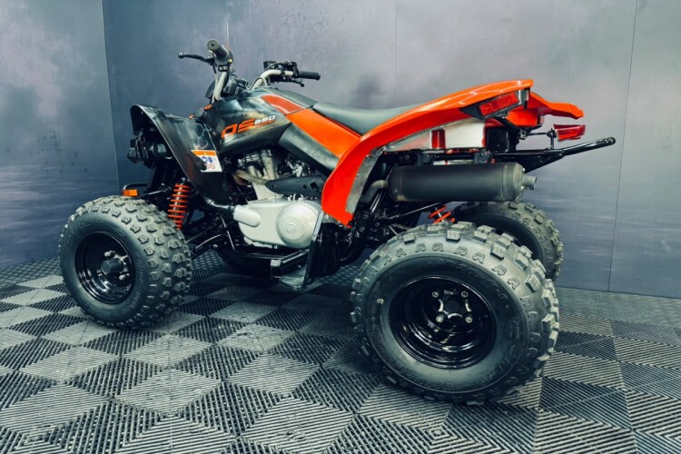 CAN-AM DS