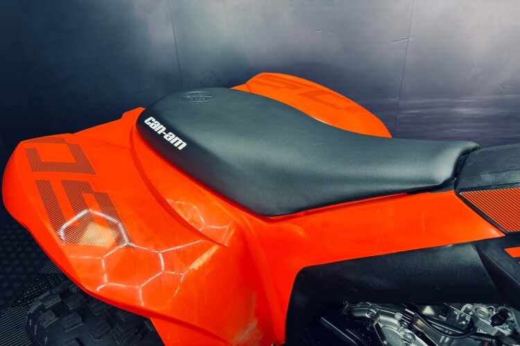 CAN-AM DS
