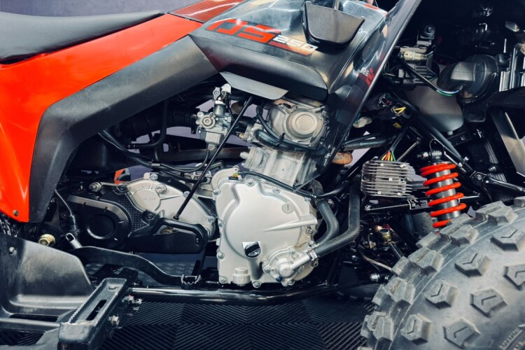 CAN-AM DS