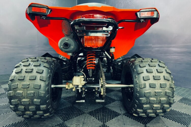 CAN-AM DS