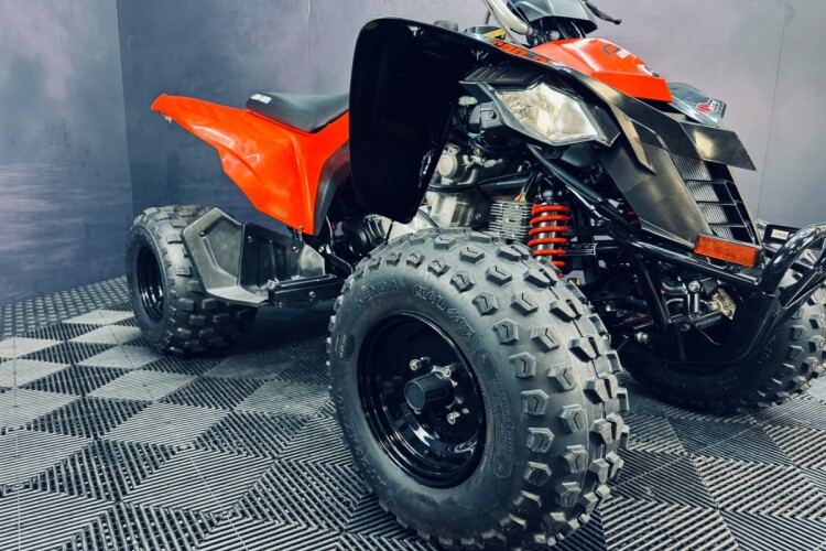 CAN-AM DS