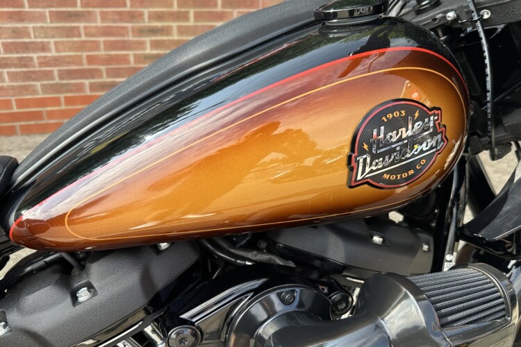 2024 HARLEY-DAVIDSON SOFTAIL, Tobacco fade enthusiasts - photo 6