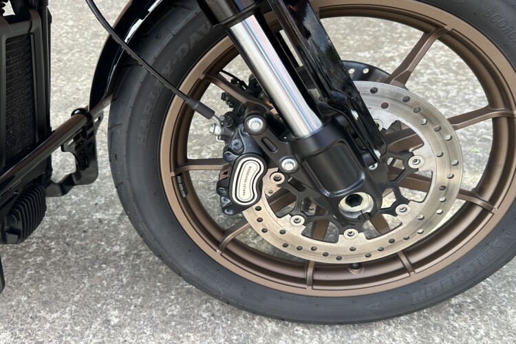 2024 HARLEY-DAVIDSON SOFTAIL, Tobacco fade enthusiasts - photo 7