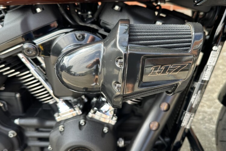 2024 HARLEY-DAVIDSON SOFTAIL, Tobacco fade enthusiasts - photo 9