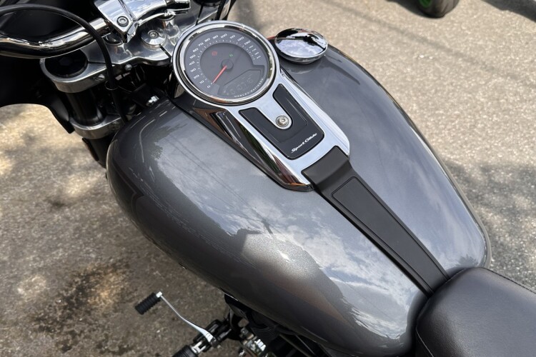 2022 HARLEY-DAVIDSON SOFTAIL, Grey - photo 14