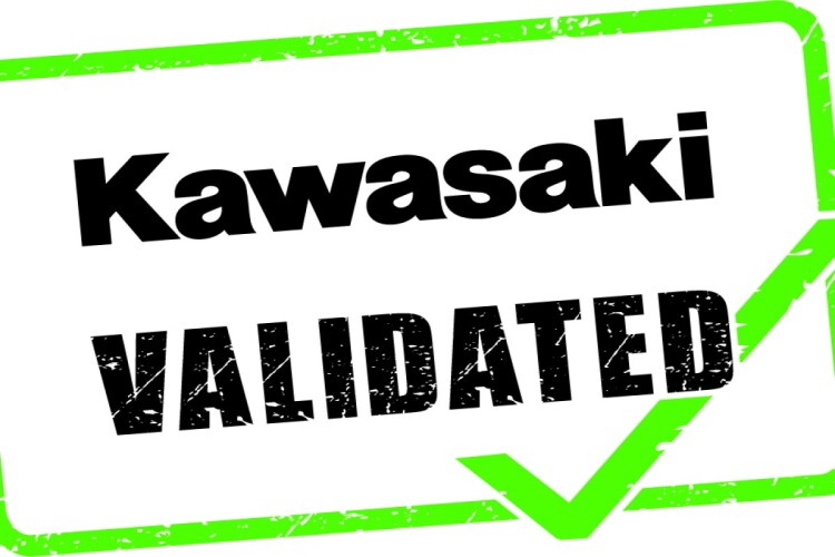 KAWASAKI Z900
