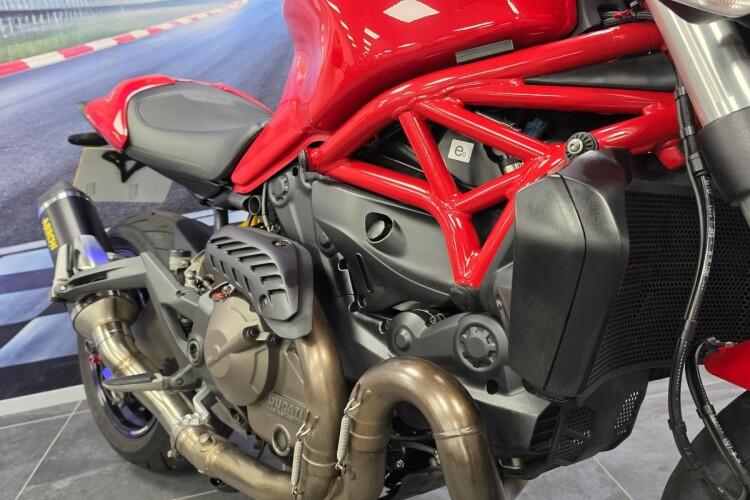 2015 DUCATI MONSTER 821, Red - photo 11