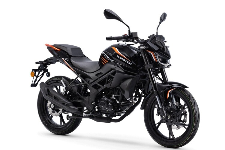 2026 QJMOTOR TRX 125, Black Honey Mink - photo 3