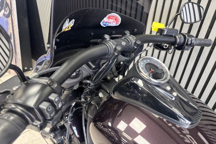 2018 HARLEY-DAVIDSON FXLRS LOW RIDER S, Purple Custom - photo 19