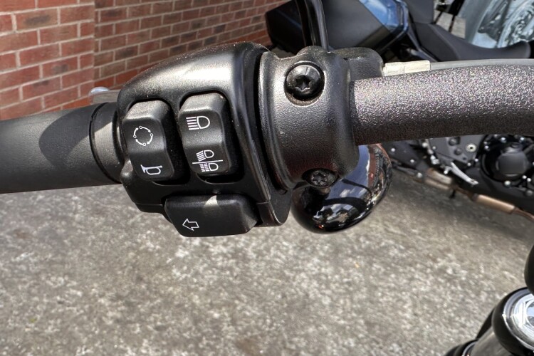 HARLEY-DAVIDSON SOFTAIL