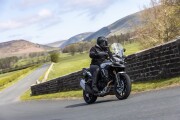 MORBIDELLI T1002V