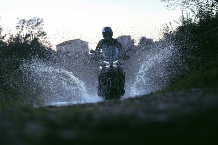 MORBIDELLI T1002VX