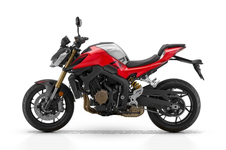 QJMOTOR SRK 800