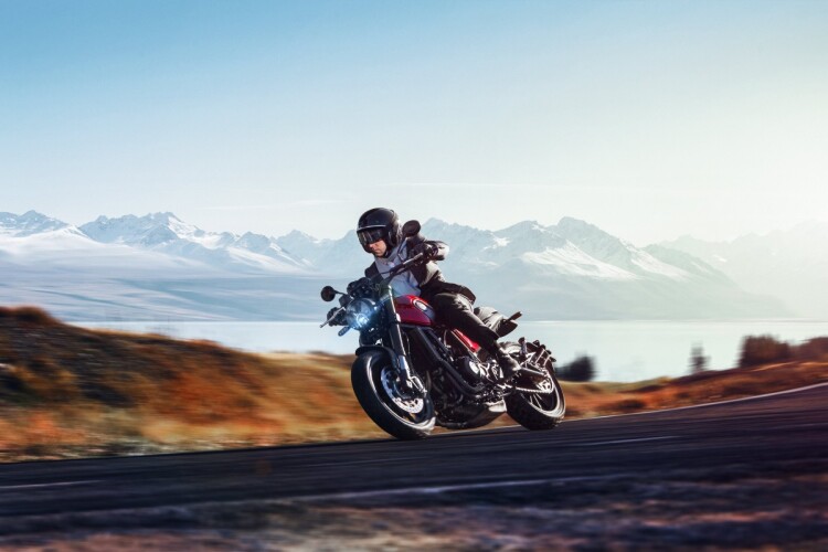 BENELLI LEONCINO for sale