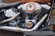HARLEY-DAVIDSON SOFTAIL